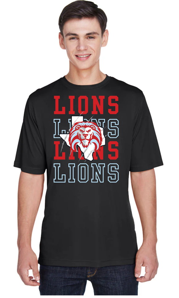 Lions Stacked Logo